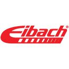Eibach Civic Mods