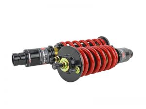 Skunk2 Racing Pro-ST Coilovers 541-05-8720