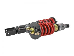 Skunk2 Racing Pro-ST Coilovers 541-05-8725