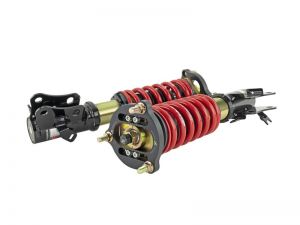 Skunk2 Racing Pro-ST Coilovers 541-05-8750