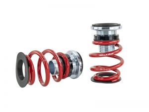 Skunk2 Racing Pro-ST Coilovers 541-05-8770