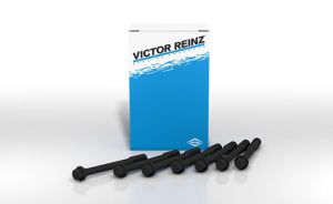 Victor Reinz Cylinder Head Bolts GS33708